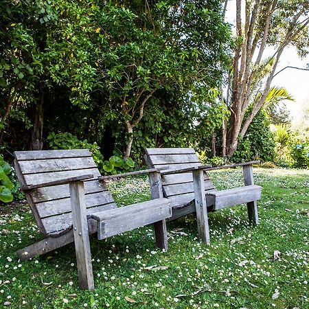 Villa Amongst The Nikau Waihi Exterior foto