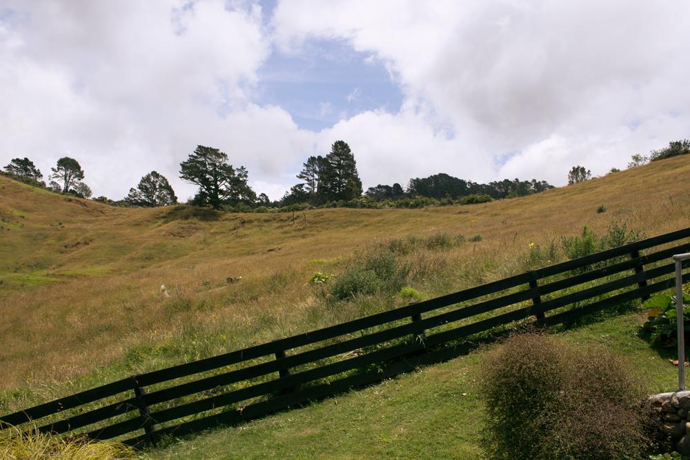 Villa Amongst The Nikau Waihi Exterior foto